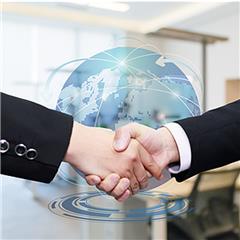 企业分类产品与服务 构建高效信息咨询体系的关键